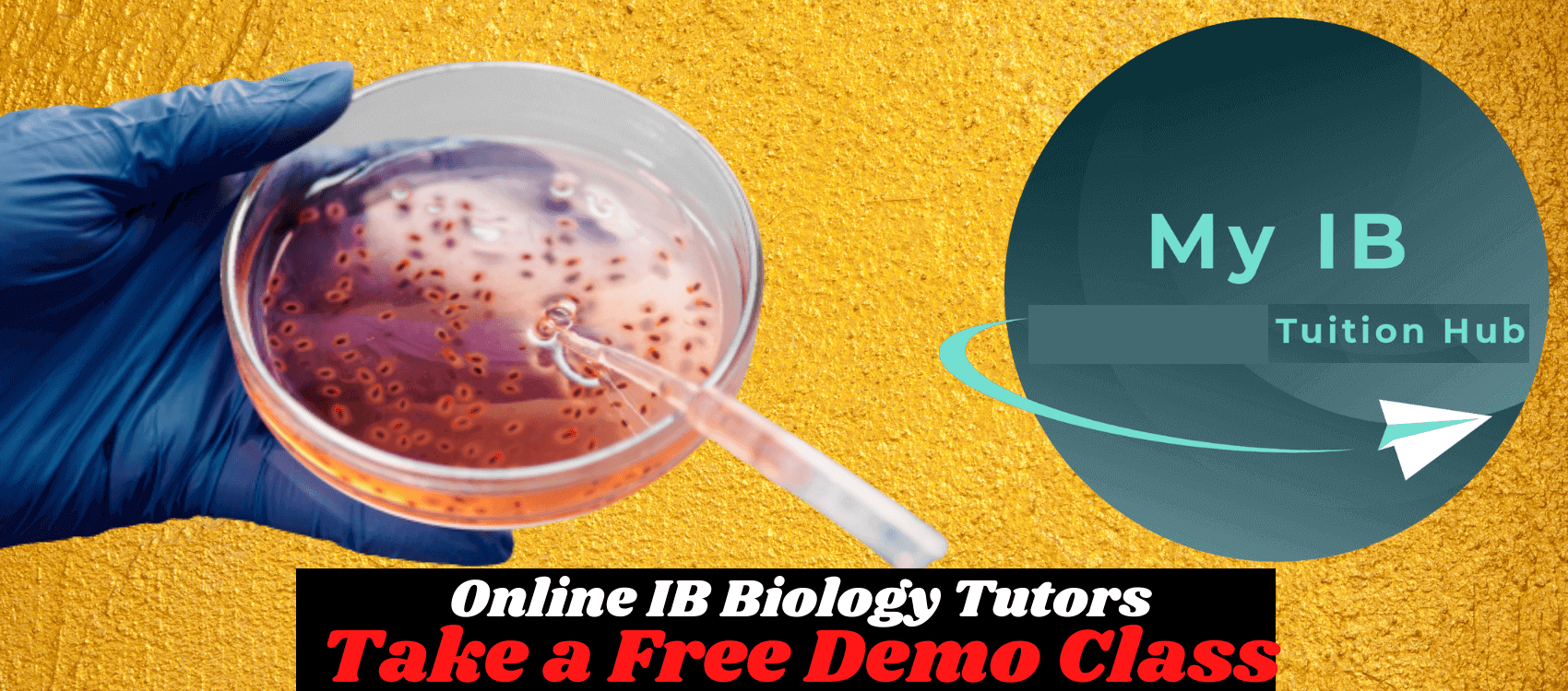 online ib biology tutors